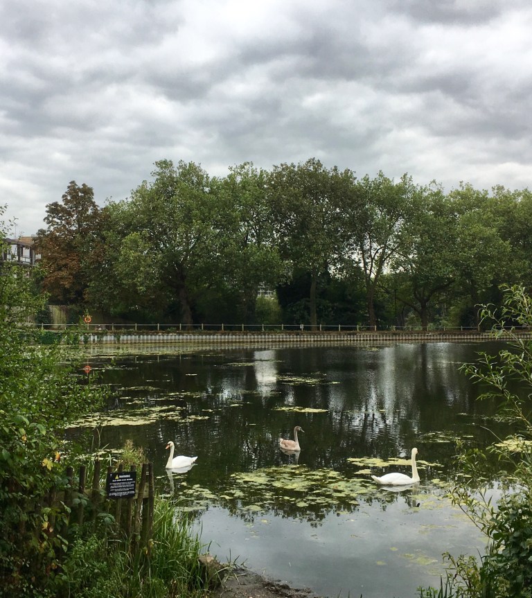 Processed with Snapseed.