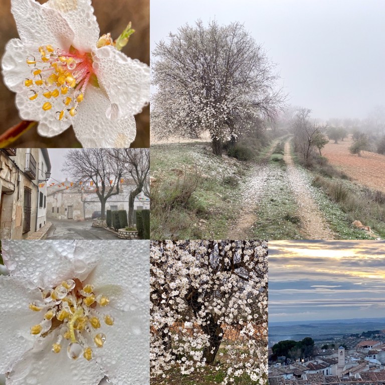 cbe9c3db-2cbe-4f37-a0cd-d4e2d53a7c79