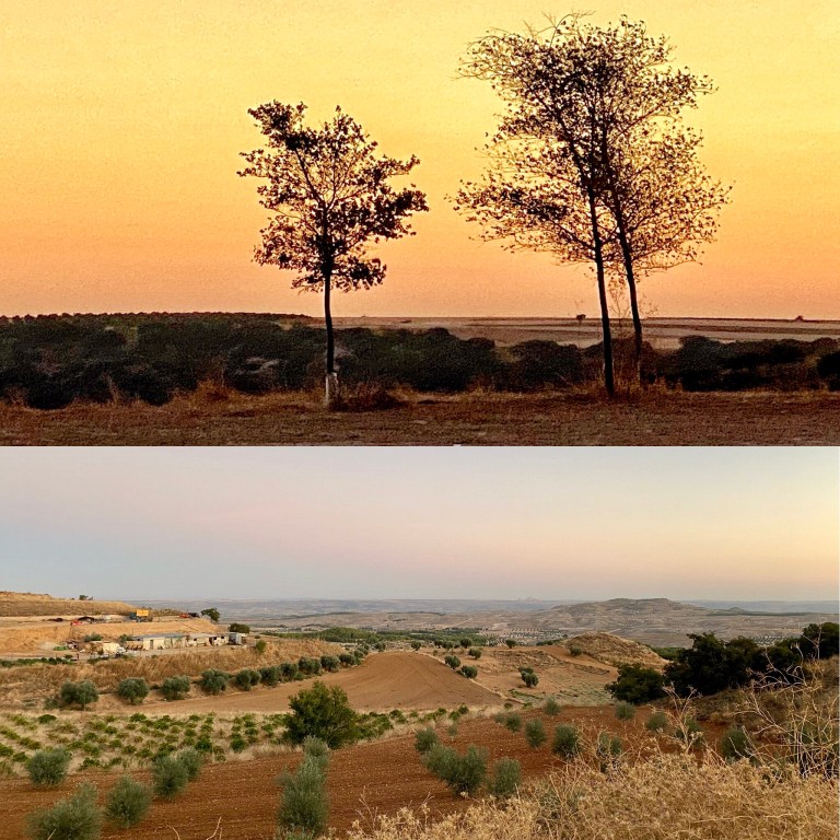 ee017427-f1a2-4010-a05e-13d1b261eafb